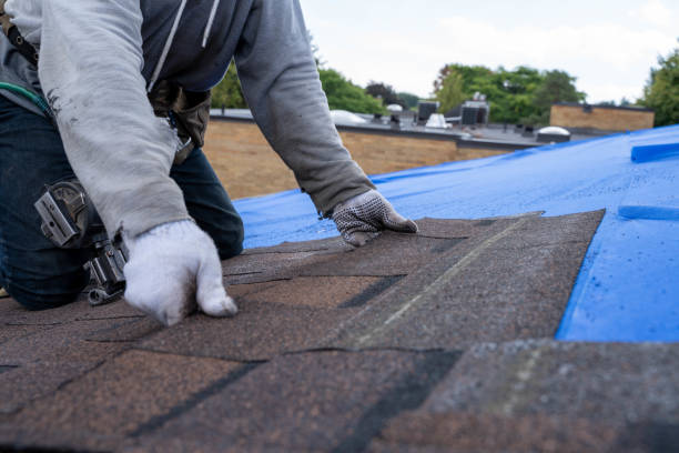 Best Local Roofing Companies  in Leland, MS