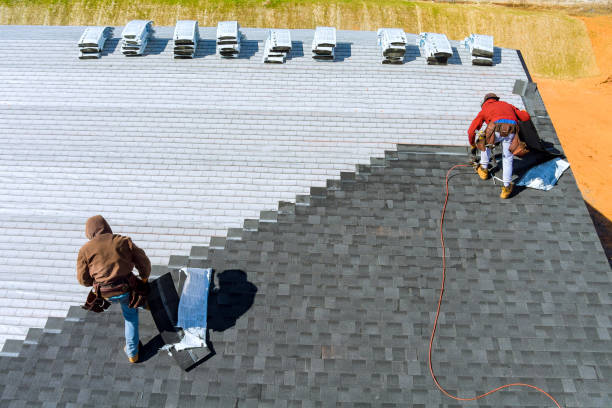 Best Roof Maintenance Services  in Leland, MS