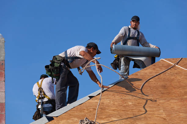 Best Local Roofing Companies  in Leland, MS