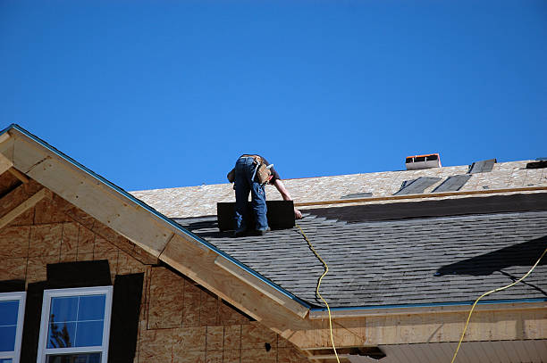 Best Roof Gutter Cleaning  in Leland, MS