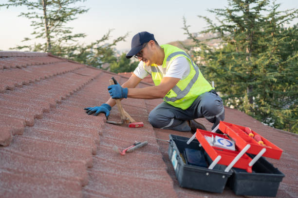 Gutter Installation and Roofing in Leland, MS